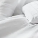 호텔 스칸딕 레지나 4*